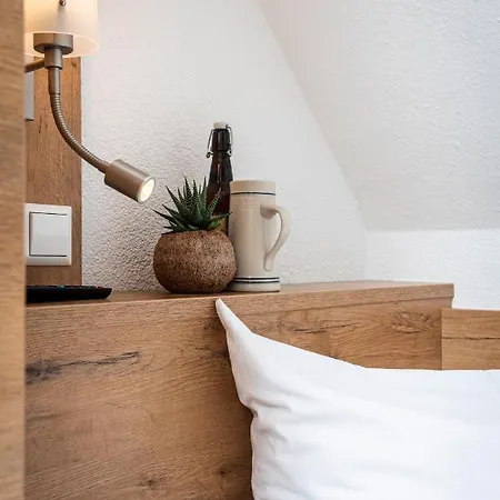 劳达莱特斯盖勒酒店 招待所 3*