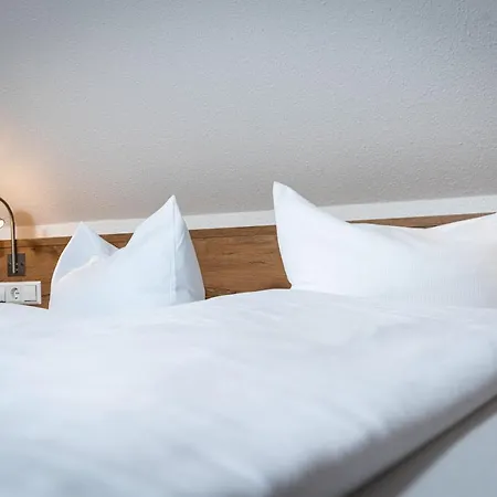 Ratskeller Guest house 3*